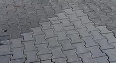 Karşıyaka Mezarlığı'nda yılanlar gezerken görüntülendi