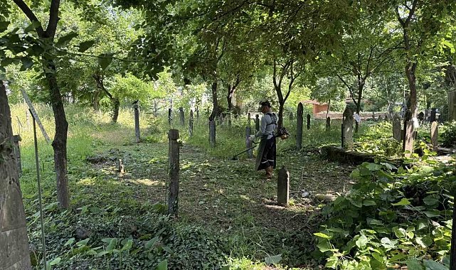 Kartepe'de mezarlık temizliği