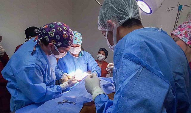 Kastamonu Üniversitesi'nde 5 ayda 334 hayvan tedavi edildi