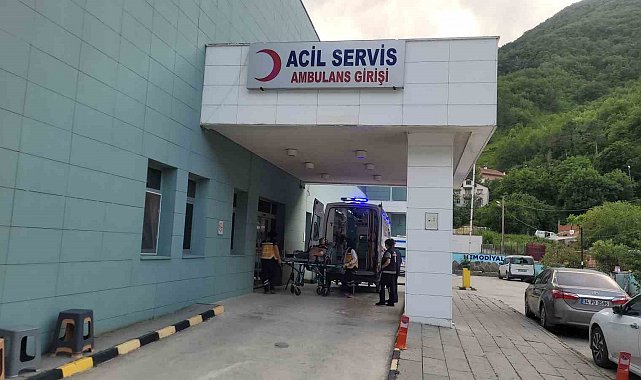 Kastamonu'da akrebin soktuğu kadın hastanelik oldu