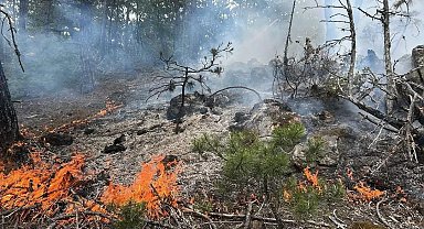 Kastamonu'da çıkan orman yangını büyümeden söndürüldü