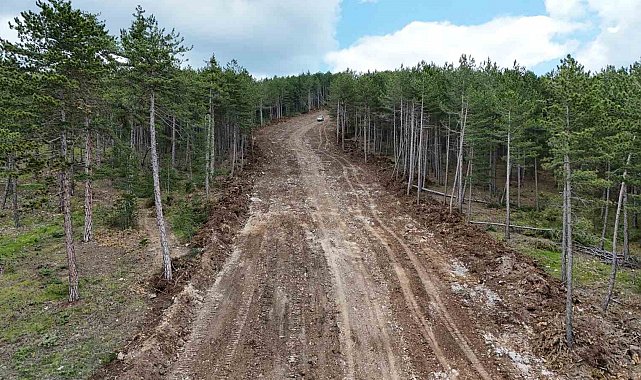 Kastamonu'da ormanları yangınlardan korumak için emniyet yolu çalışmaları sürüyor