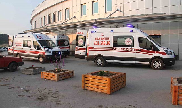 Kayıp kurbanlığı ararken canından oldu