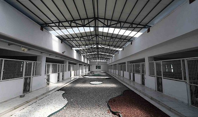 Kayseri'de 500 hayvan kapasiteli yeni bir barınak inşa ediliyor