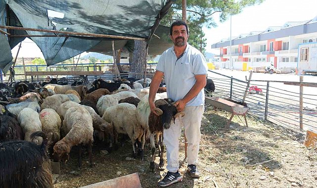Kemer Belediyesi'nde kurban satış alanlarında denetim