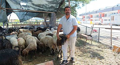 Kemer Belediyesi'nde kurban satış alanlarında denetim