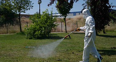 Kene mücadelesi başladı