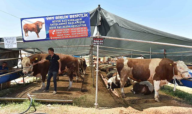 Kepez'de 9 noktada kurban kesim alanı