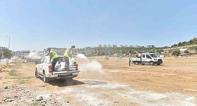 Kepez'de kurban bayramı sonrası temizlik ve dezenfekte çalışması