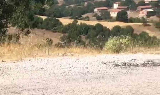 Kepsut'ta orman yangını başladı