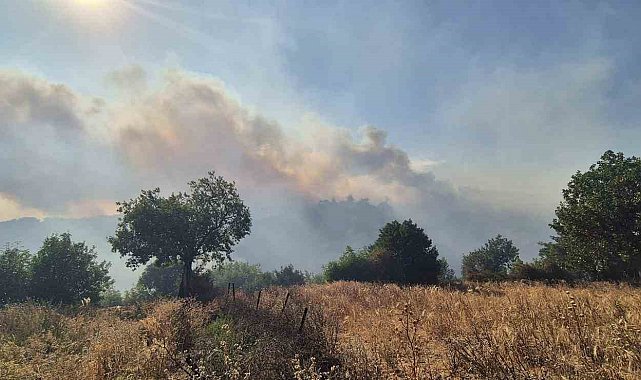 Kepsut'taki orman yangını köyü tehdit ediyor