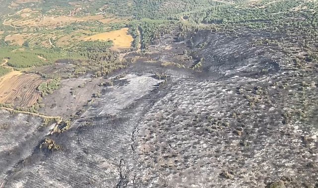 Kepsut'taki orman yangınları kontrol altına alındı