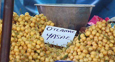 Kiraz Festivali'nde tezgahlardaki 'otlamak yasaktır' yazısı tepki çekti