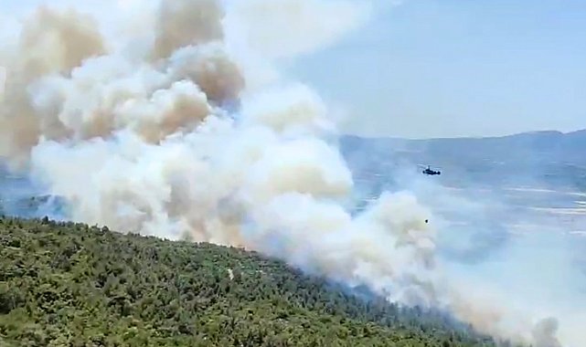 Kırıkağaç'ta yangın yeniden başladı