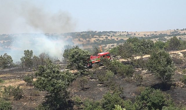 Kırklareli'nde ceviz bahçesi ve orman alanında yangın