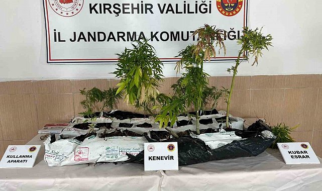 Kırşehir'de uyuşturucu operasyonu: 40 kök kenevir ele geçirildi