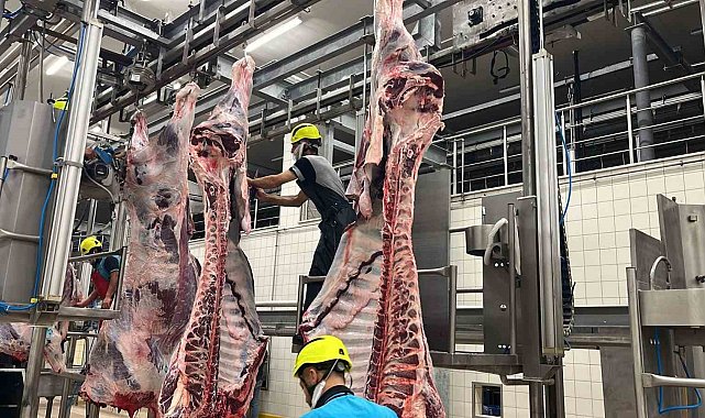 Kist hidatik riskine karşı sakatat uyarısı