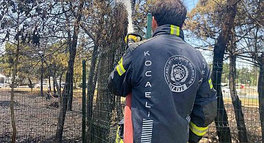 Kocaeli'de ağaçlık alanda yangın çıktı, 4 kişi dumandan etkilendi