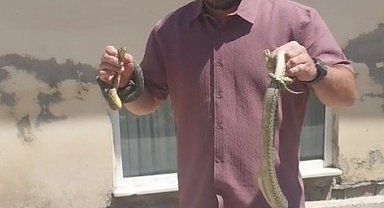 Komşusunun evine giren yılanları eliyle çıkardı, adı 'Yılan Avcısı' oldu