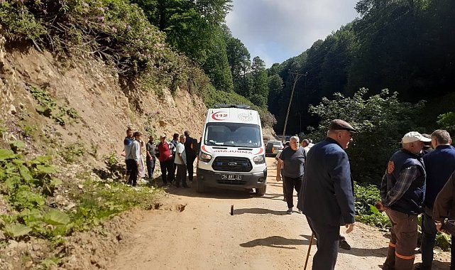 Kontrolden çıkan pat pat, dereye devrildi: 2 yaralı