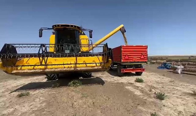 Konya'nın Kulu ilçesinde ekilen arpa zamanından 3 hafta önce hasat edildi