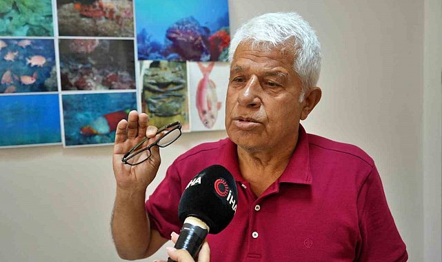 Köpek balıklarına yapılan "gösteri işkencesine" uzman uyarısı: "Ekosistemi bozuyor, korku yayıyor "