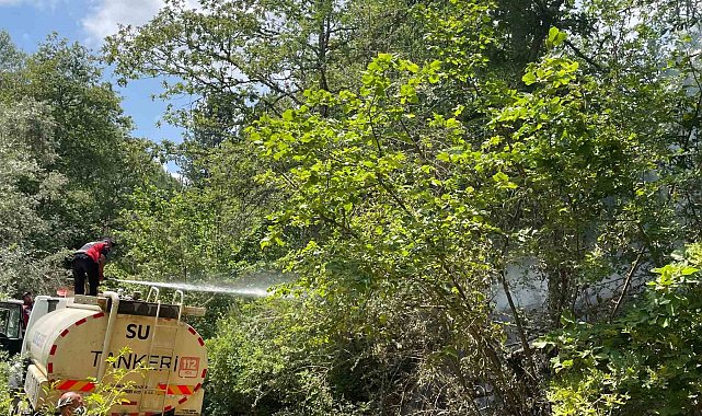 Koskoca tabiat parkı bir sigara izmariti yüzünden kül olacaktı