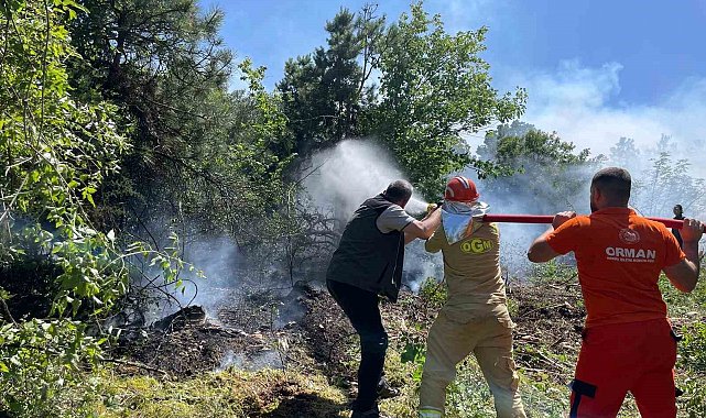 Köyceğiz'de orman yangını ekiplerin hızlı müdahalesiyle kontrol altına alındı
