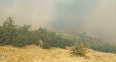 Kula'daki orman yangını için ekipler ve vatandaşlar seferber oldu