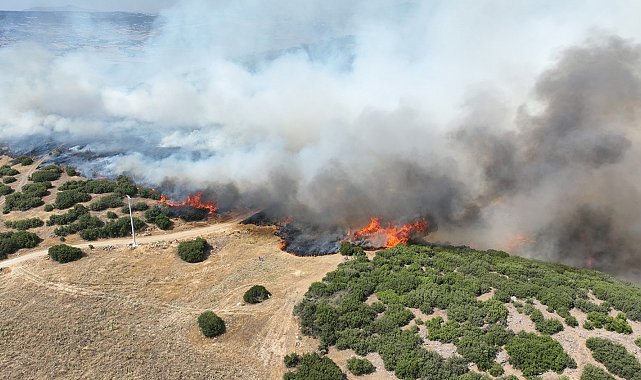 Kula'daki orman yangını kontrol altında
