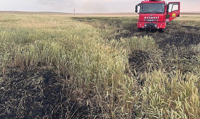 Kulu'da arpa ekili tarlada yangın
