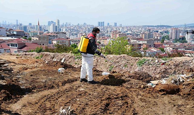 Kurban Bayramı öncesi Ataşehir'de denetimler artırıldı