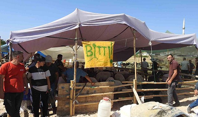 Kurban Bayramı'nın ilk günü hayvan pazarları dolup taştı