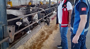 Kurbanların satış ve kesim yerleri mercek altında