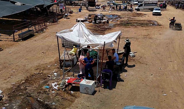 Kurbanlık fiyatları yüzde 40 düştü