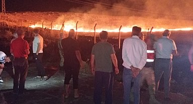 Kurtalan'da anız yangını paniğe neden oldu