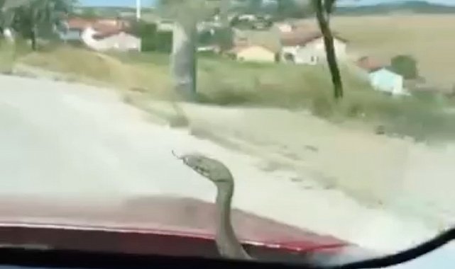 Kütahya'da 'aracın kaputundan çıkan yılan' şaşkınlığı