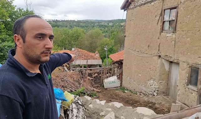 Kütahya'da kurtların saldırısında 11 koyun telef oldu