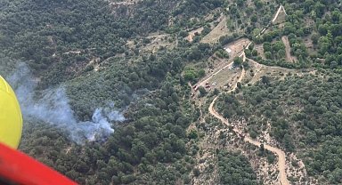 Kütahya'daki orman yangınında 8 dekar alan zarar gördü