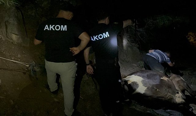 Kuyuda bulunan kayıp inek saatler süren çalışmayla kurtarıldı