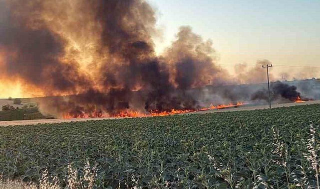 Lüleburgaz'da buğday tarlasında yangın