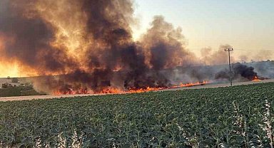 Lüleburgaz'da buğday tarlasında yangın