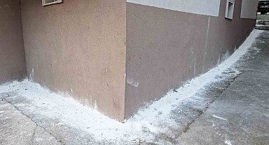 Mahalleyi böcekler bastı, vatandaşlar tedirgin oldu