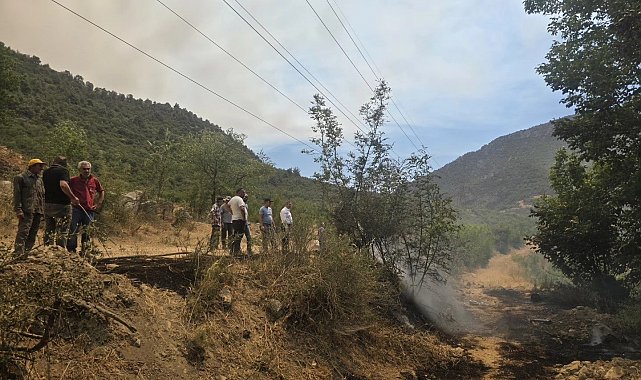 Makilik alanda korkutan yangın