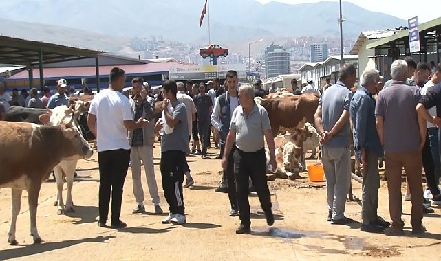 Malatya Canlı Hayvan Pazarı'nda bayram yoğunluğu