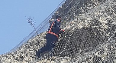 Malatya'da ağa takılan 2 yaban keçisi kurtarıldı