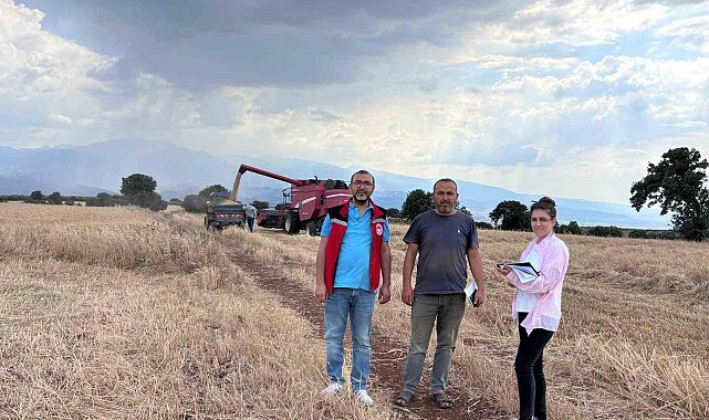 Manisa'da biçerdöverler takip altında