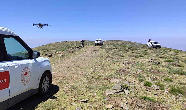 Manisa'da çekirgeye karşı havadan ve karadan mücadele