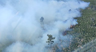Manisa'da çıkan orman yangınına müdahale devam ediyor