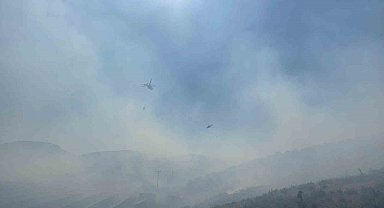 Manisa'da ormanlık alanda yangın: Havadan ve karadan müdahale başladı